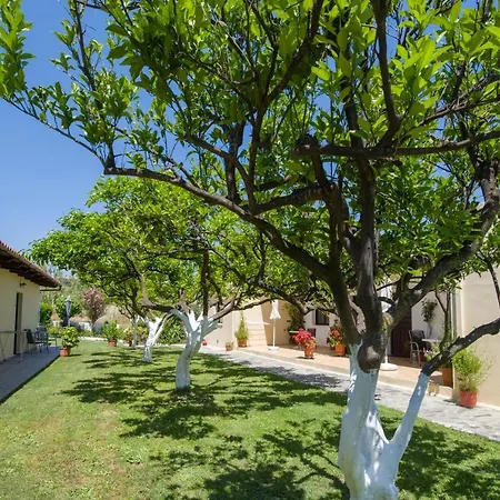 Kydonia Appartement *